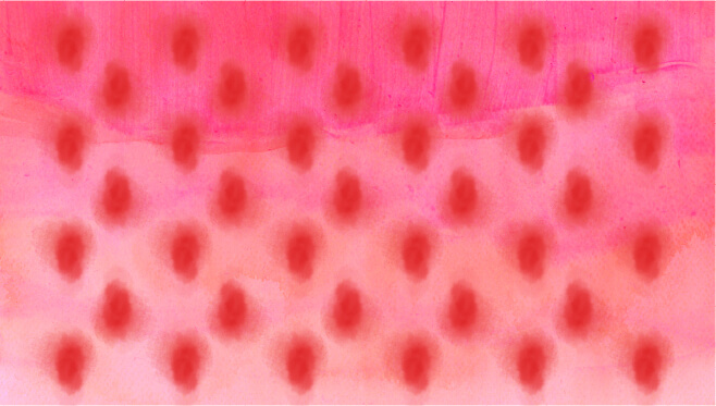galeri img